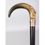 A HORN HANDLED WOOD WALKING STICK, the horn possibly rhino horn, the stick with a plain hallmarked