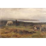 David Farquharson (1839-1907) British. "Beer Common, Devon", Horses and Donkeys grazing, a Coastal