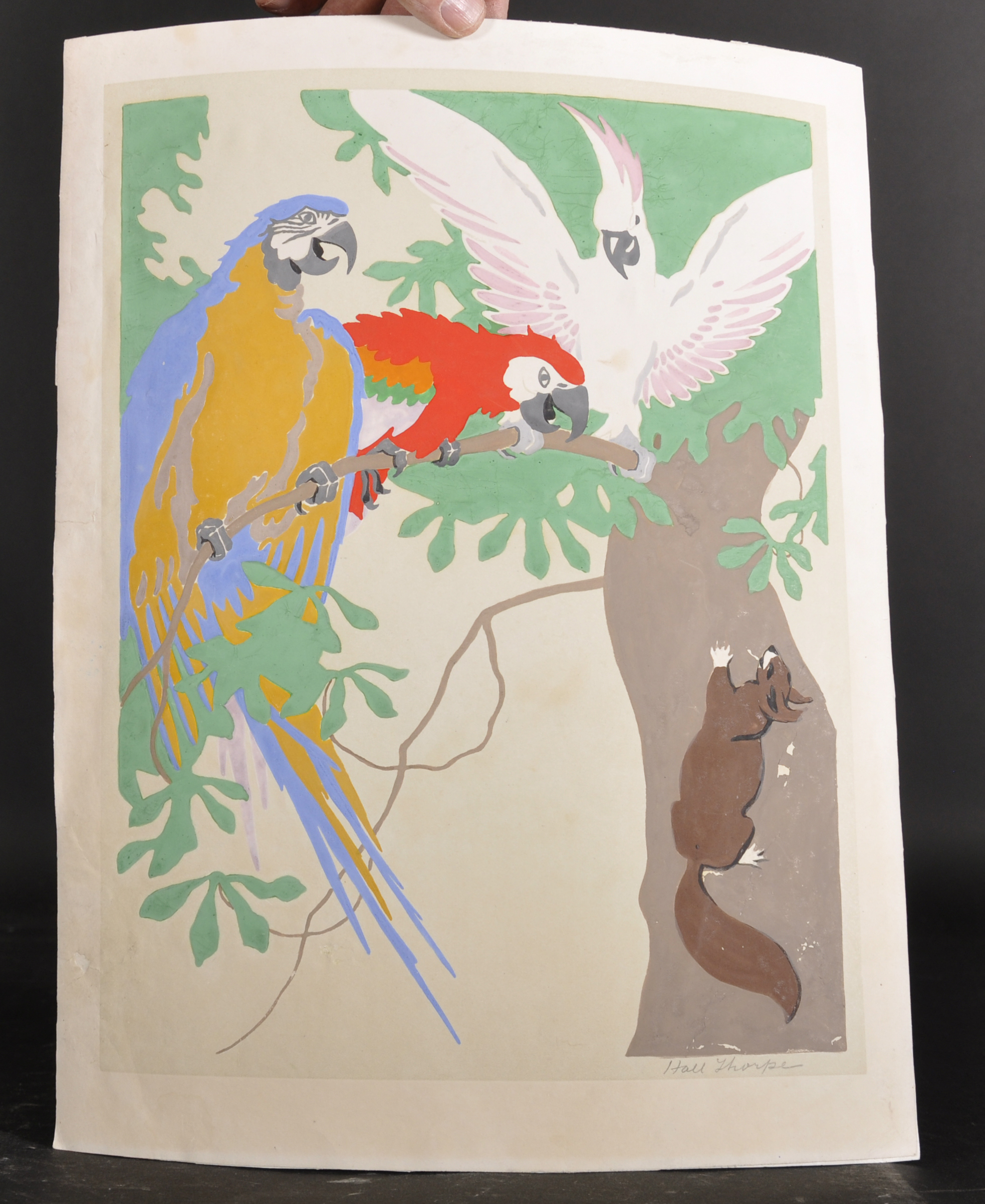 John Hall Thorpe (1874-1947) Australian. "Australian Cockatoos" with a Parrot and a Squirrel, - Image 2 of 4