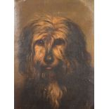 19th Century English School. Study of a Terrier, Oil on Canvas laid down, Painted Arched, 15" x