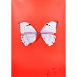 Damien Hirst (1965- ) British. "Red Butterfly", Print, Signed and Inscribed 'For Sofie Love Damien