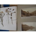 LAKE DISTRICT / PHOTOGRAPHY: photo album circa 1910. With an album of pressed dried flowers &