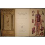 [ANATOMY etc.] BISS (J.) BAILLIERE'S Popular Atlas of the Anatomy...of the Male/Female Human Body, 2
