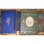 [ALPINE PLANTS] WOOSTER (D.) Alpine Plants, [1st Series], 4to, 54 col. plates, cloth gilt, 2nd Edn.,