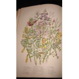 PRATT (Anne) Flowering Plants of Great Britain, 3 vols, lge 8vo, 243 plates, green cloth gilt, L.,