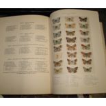 [BUTTERFLIES] BRIGHT (.) & LEEDS (H.) Monograph of the British Aberrations of the Chalk-Hill Blue,