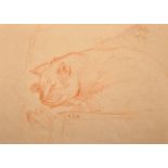 Early 20th Century English School. Study of a Cat, Sanguine, with Pencil Studies of horses on