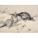 Winifred Marie Louise Austen (1876-1964) British. Pheasants in the Snow, Etching, Signed in