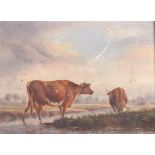 Bond (19th Century) British. Cows Grazing by a River, with a Church Steeple in the distance, Oil