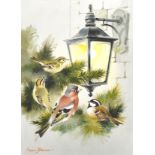 Peter Swan-Brown (1936- ) British. "Friendly Gathering", Birds by a Lamp, Watercolour, Signed, and