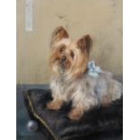 Maud West Watson (20th Century) British. A Yorkshire Terrier with a Blue Bow resting on a Cushion,