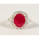 AN 18CT WHITE GOLD, RUBY AND DIAMOND CLUSTER RING of 5cts approx.