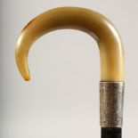 A VICTORIAN HORN HANDLED WALKING CANE, with silver band. London 1901. 36ins long.