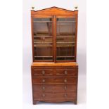 A GOOD GEORGE III MAHOGANY SECRETAIRE BOOKCASE, the top with arched cornice, pair of brass pineapple