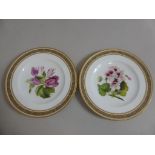 PR. 19TH CENTURY HAND PAINTED PLATES, POSSIBLY COALPORT, EACH FEATURING A BOTANICAL STUDY WITH