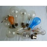MISC. BULBS INC. VERY LARGE EXAMPLES