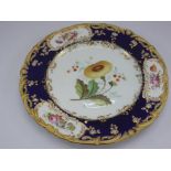 COALPORT, STEPHEN LAWRENCE, CIRCULAR PLATE WITH BOTANICAL STUDY, COBALT BLUE AND GILT BORDER WITH