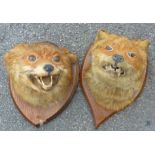 2 MOUNTED FOX HEADS