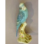 ROYAL WORCESTER BLUE BUDGIE