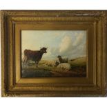 Framed 19th century oil on board of a pastoral scene with a cow & sheep in foreground with
