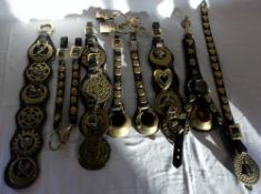 Collection of old horse brasses