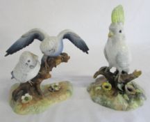 Royal Crown Derby figures of a Cockatoo & Budgerigars (wings af)