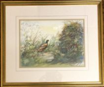 Framed watercolour of a pair of pheasants by Francis Boxall 59cm by 49cm