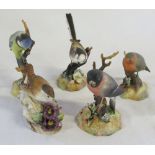 5 Royal Crown Derby birds inc bullfinch, robin,