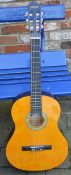 Clifton acoustic guitar with soft case