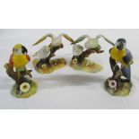 2 Royal Crown Derby Macaws and 2 Royal Crown Derby pairs of Budgerigars