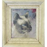 Small oil on canvas of a siamese cat 21 cm x 24 cm