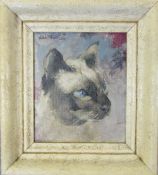 Small oil on canvas of a siamese cat 21 cm x 24 cm