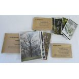 Bilder-Gruppe cards - complete sets 2,