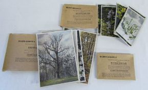 Bilder-Gruppe cards - complete sets 2,