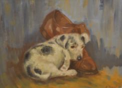 Oil on board of a puppy curled up with a shoe,