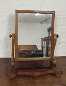 Victorian toilet mirror