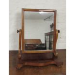 Victorian toilet mirror