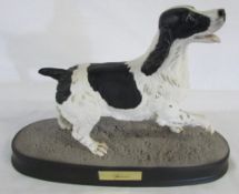 Beswick springer spaniel on plinth L 30 cm