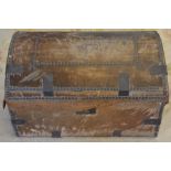 Animal skin chest/trunk