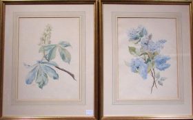 Pair of framed early 20th century watercolours of flowers by Lincoln artists Evelyn and Florence