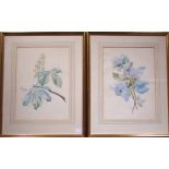 Pair of framed early 20th century watercolours of flowers by Lincoln artists Evelyn and Florence