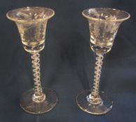 Pair of cotton twist drinking glasses with etched leaf and berries decoration