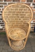 Cane peacock chair