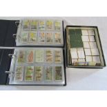 2 albums of cigarette cards & box of loose cards