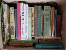 Box of vintage books on ornithology and wildlife