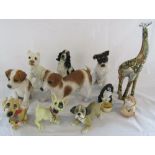 Selection of animal figurines inc Giraffe & dogs