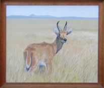 Framed oil on board of an springbok by Richard Maitland Laws CBE FRS ScD (1926-2014) - Director of