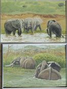 Pair of framed oil on board of elephants by Richard Maitland Laws CBE FRS ScD (1926-2014) -