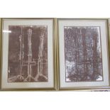 Pair of sculptural abstract mono prints by D R Adamson dated 1964 (Winchester School of Art) 49.