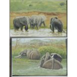 Pair of framed oil on board of elephants by Richard Maitland Laws CBE FRS ScD (1926-2014) -